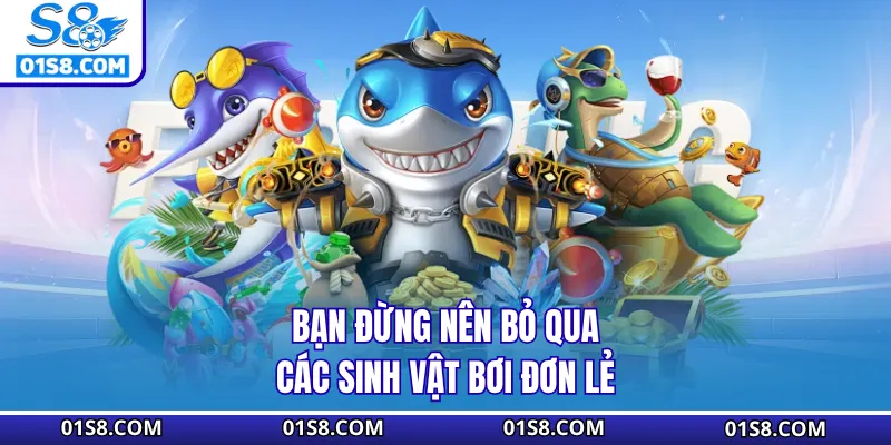 Bạn đừng nên bỏ qua các sinh vật bơi đơn lẻ