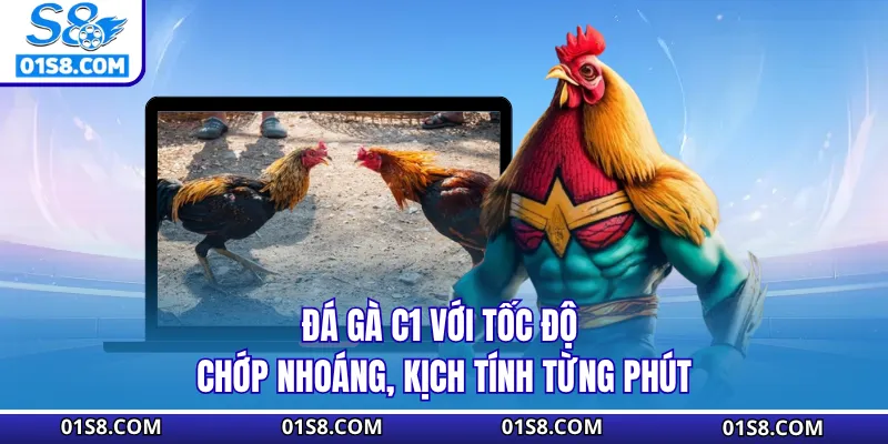 Đá gà C1 với tốc độ chớp nhoáng, kịch tính từng phút