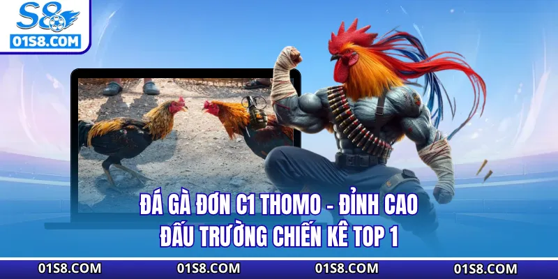 Đá Gà Đơn C1 Thomo S8 - Đỉnh Cao Đấu Trường Chiến Kê Top 1 