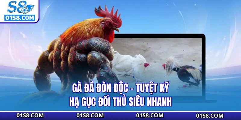 Gà Đá Đòn Độc S8 - Tuyệt Kỹ Hạ Gục Đối Thủ Siêu Nhanh Từ S8
