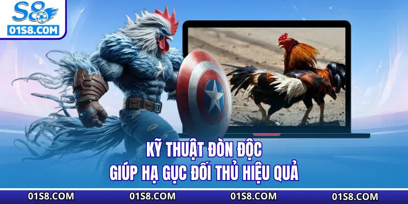 Kỹ thuật đòn độc giúp hạ gục đối thủ hiệu quả