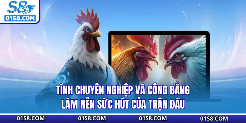 Tính chuyên nghiệp và công bằng làm nên sức hút của trận đấu