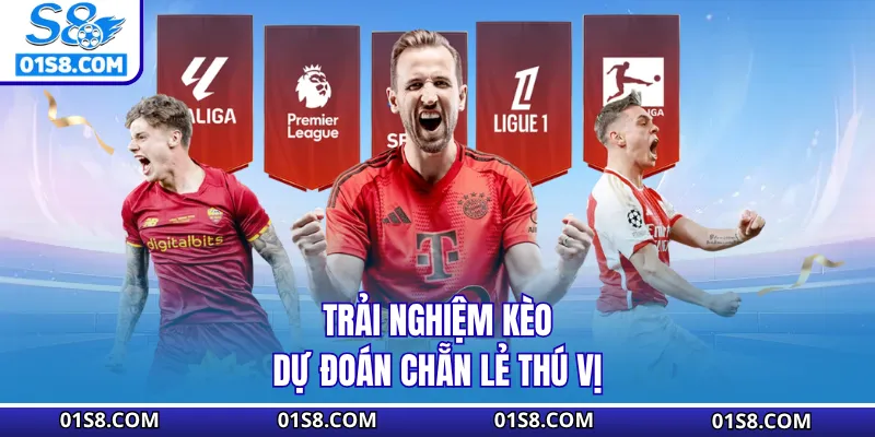 Trải nghiệm kèo dự đoán chẵn lẻ thú vị